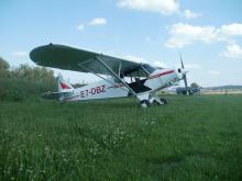 PIPER PA-18 SUPER CUB E7-DBZ